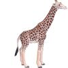 Mojo Giraffe Männchen