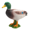 Mojo Stockente Erpel