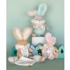 Doudou Hase Spielzeug mit Rassel und Schnullerhalter 21 cm