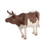 Mojo Simmentaler Fleckvieh Kuh
