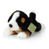 Rappa Plüsch Berner Sennenhund liegend 20 cm ECO-FRIENDLY