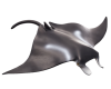 Mojo Riesenmanta