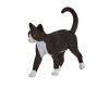 Mojo Katze schwarz und weiß