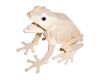 Woodcraft Holz 3D Puzzle Frosch