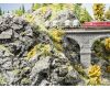 Noch Felswand Basalt