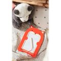 Petit Collage Magnetische Zeichentafel Fuchs