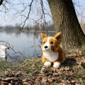Rappa Plüsch Corgi Hund 32 cm ECO-FRIENDLY