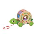 2Kids Toys Nachzieh-Schildkröte