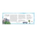 Galison City Panorama Puzzle 1000 Teile