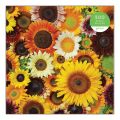 Galison Puzzle Sonnenblumenblüten 500 Teile