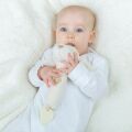 Bigjigs Baby-Rassel 3in1 Doggie