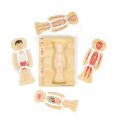 Bigjigs Toys Holzpuzzle Anatomie Junge