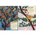 Chronicle Books Aktivitätsbuch mit meinen Naturaufklebern Schmetterlinge der Welt