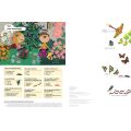 Chronicle Books Aktivitätsbuch mit meinen Naturaufklebern Schmetterlinge der Welt