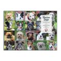 Galison Puzzle Tierheimhunde 1000 Teile