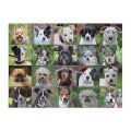 Galison Puzzle Tierheimhunde 1000 Teile