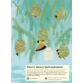 Chronicle Books Activity Book mit Aufklebern Tiere der Savanne