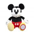 Rainbow Plüsch Mickey Mouse Activity