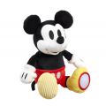 Rainbow Plüsch Mickey Mouse Activity