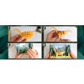 EscapeWelt 3D-Holzpuzzle Brontosaurus