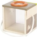small foot Insektenbeobachtungsbox Discover