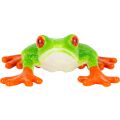 Mojo Rotaugenlaubfrosch