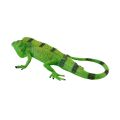 Mojo Leguan