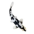 Mojo Koi Shiro Utsuri