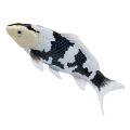 Mojo Koi Shiro Utsuri