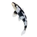 Mojo Koi Shiro Utsuri