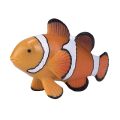Mojo Falscher Clownfisch