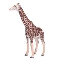 Mojo Giraffe Männchen