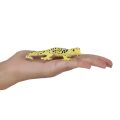 Mojo Leopardgecko