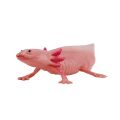 Mojo Axolotl