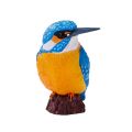 Mojo Eisvogel