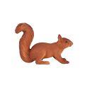 Mojo Eichhörnchen läuft
