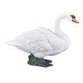 Mojo Höckerschwan