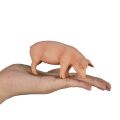 Mojo Schwein