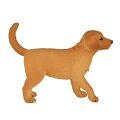 Mojo Golden Retriever Welpe