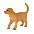 Mojo Golden Retriever Welpe