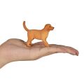 Mojo Golden Retriever Welpe