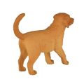 Mojo Golden Retriever Welpe