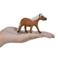 Mojo Shetlandpony