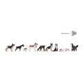 Noch Sound-Scenes Hunde