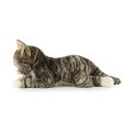 Rappa Plüsch Norweger Katze 38 cm ECO-FRIENDLY