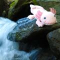 Rappa Plüsch-Axolotl 33 cm ECO-FRIENDLY