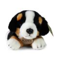 Rappa Plüsch Berner Sennenhund liegend 20 cm ECO-FRIENDLY