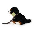 Rappa Plüsch Berner Sennenhund sitzend mit Leine und Geräusch 20 cm ECO-FRIENDLY
