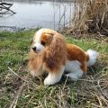 Rappa Plüschhund Cavalier King Charles Spaniel 28 cm ECO-FRIENDLY