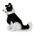 Rappa Plüschhund Border Collie sitzend 40 cm ECO-FRIENDLY
